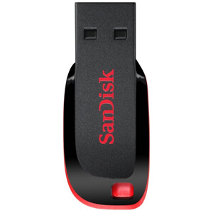 SanDisk Cruzer Blade 32GB USB Drive