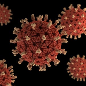 The Rotavirus